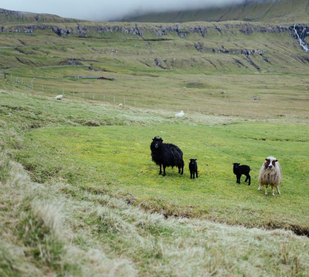 Authentic Faroese House / Unique Location / Nature Hellurnar Bagian luar foto